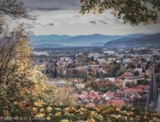 IM体育动画直播通道-斯洛伐剧本反转，击败斯洛文尼亚