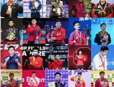 IM体育平台-奥地利队横扫波兰队，樊振东统治全场的简单介绍