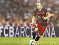 IM体育平台-艺术之城的铁血意志，佛罗伦萨粉碎突尼斯，伊布化身决胜关键先生