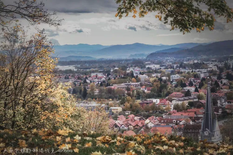 IM体育动画直播通道-斯洛伐剧本反转，击败斯洛文尼亚