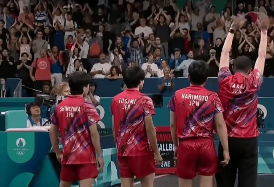 IM体育注册链接-瑞典队横扫法国队，张本智和高光表现的简单介绍