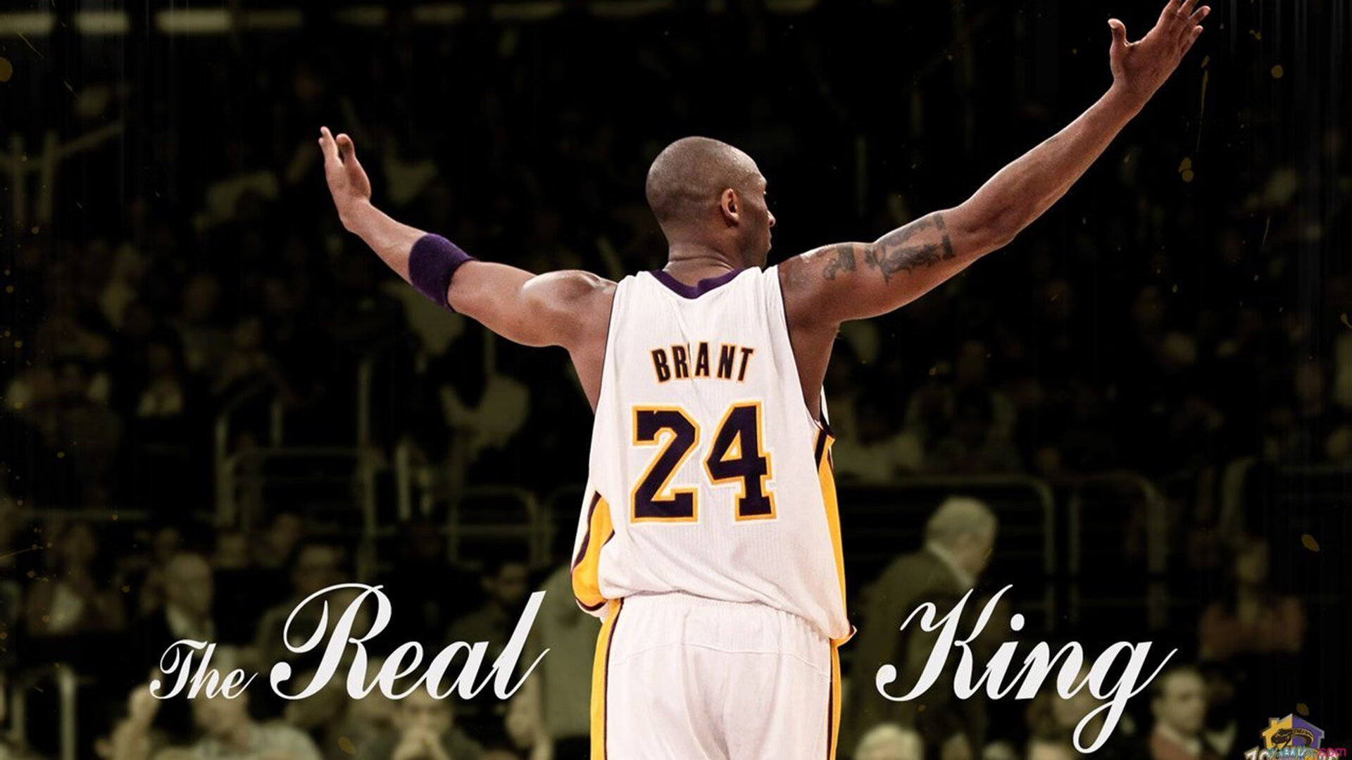 IM体育动画直播通道-武切维奇爆发之夜,湖人险胜马刺,淘汰赛惊险过关