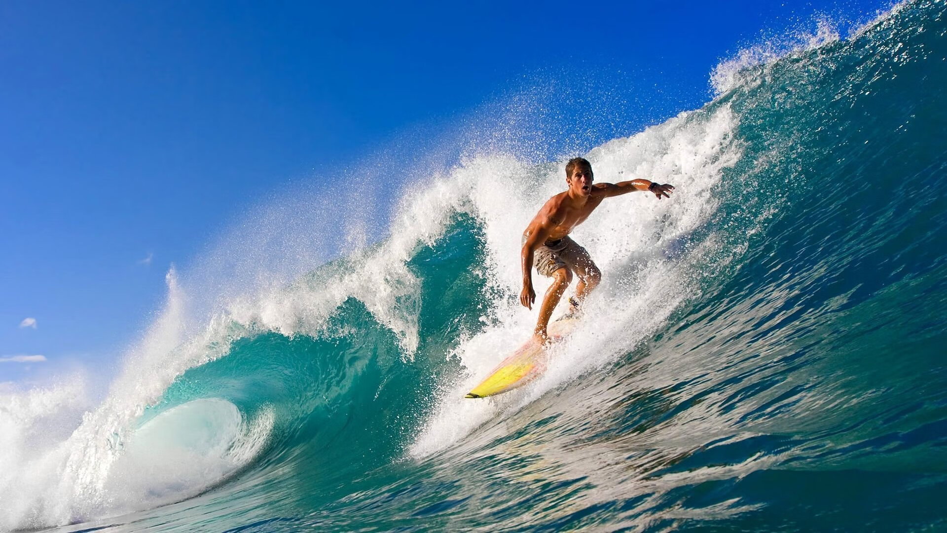 IM体育官网入口-赛道与球场，当F1引擎轰鸣遇见拉梅洛生涯之夜